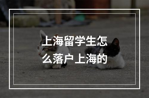 上海留学生怎么落户上海的