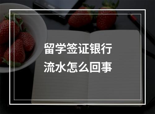 留学签证银行流水怎么回事