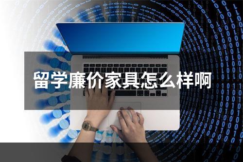 留学廉价家具怎么样啊