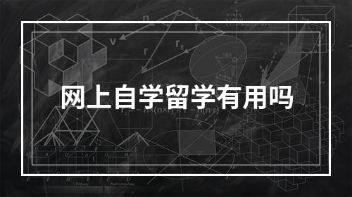 网上自学留学有用吗