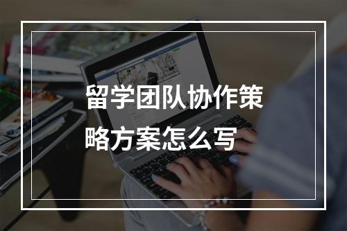 留学团队协作策略方案怎么写