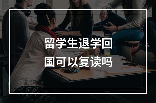 留学生退学回国可以复读吗