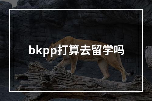 bkpp打算去留学吗