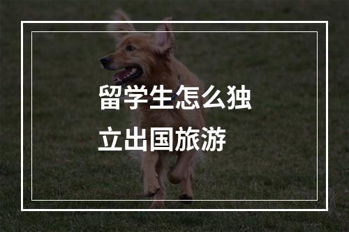 留学生怎么独立出国旅游