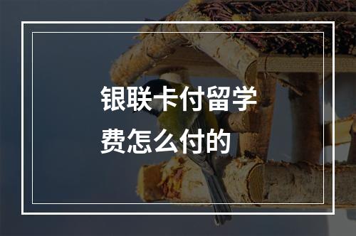 银联卡付留学费怎么付的