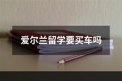 爱尔兰留学要买车吗