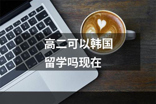 高二可以韩国留学吗现在