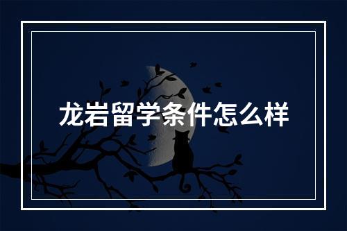 龙岩留学条件怎么样