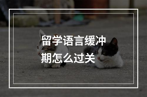 留学语言缓冲期怎么过关