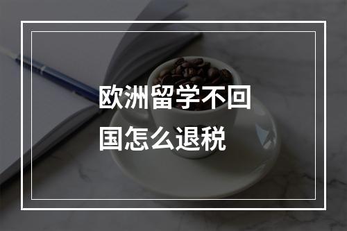 欧洲留学不回国怎么退税