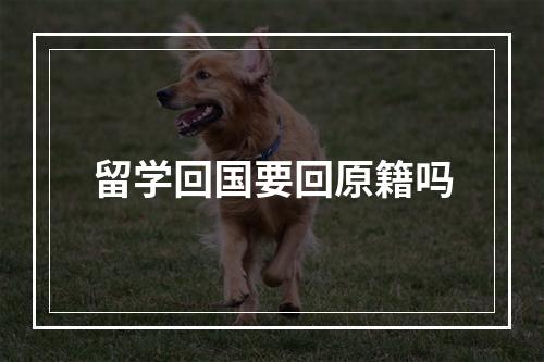 留学回国要回原籍吗