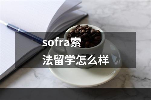 sofra索法留学怎么样