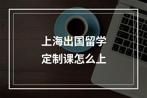 上海出国留学定制课怎么上