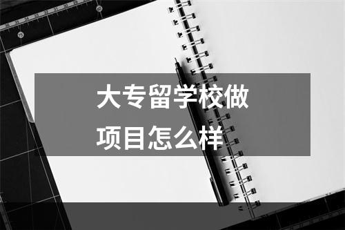 大专留学校做项目怎么样