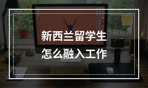 新西兰留学生怎么融入工作