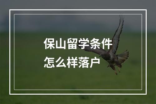 保山留学条件怎么样落户