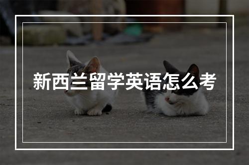 新西兰留学英语怎么考