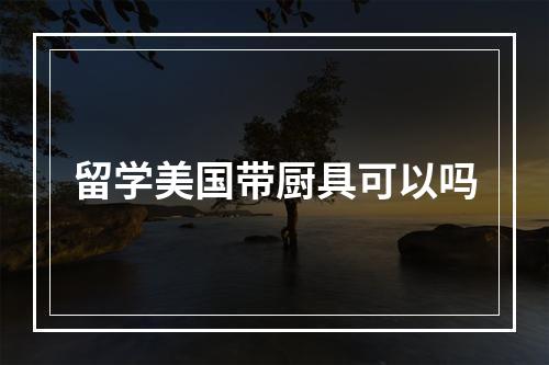 留学美国带厨具可以吗