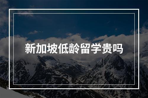 新加坡低龄留学贵吗