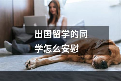 出国留学的同学怎么安慰