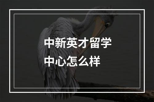 中新英才留学中心怎么样