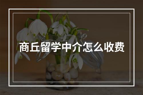 商丘留学中介怎么收费