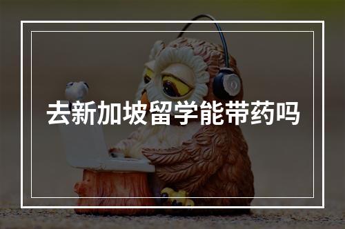 去新加坡留学能带药吗