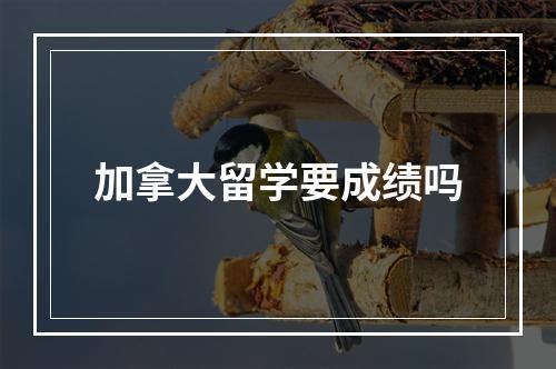 加拿大留学要成绩吗