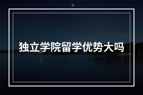 独立学院留学优势大吗