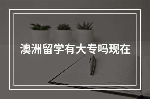 澳洲留学有大专吗现在