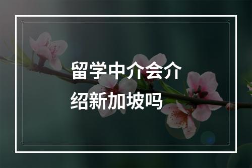 留学中介会介绍新加坡吗