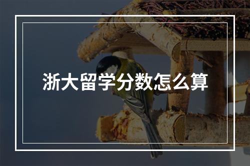 浙大留学分数怎么算