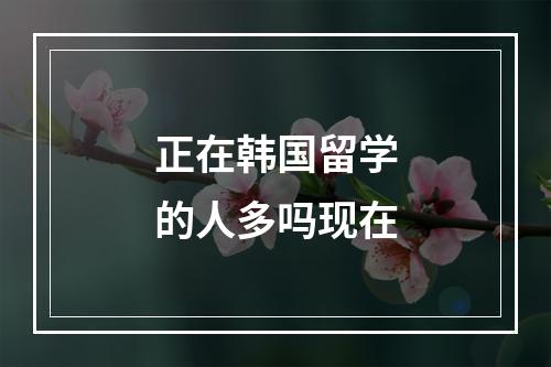 正在韩国留学的人多吗现在