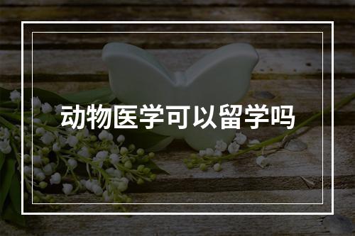 动物医学可以留学吗