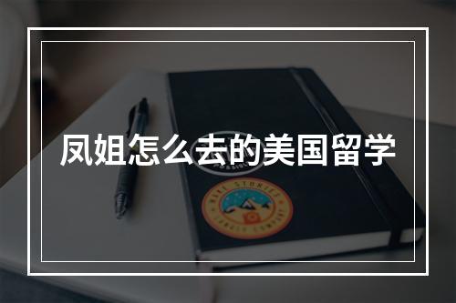 凤姐怎么去的美国留学