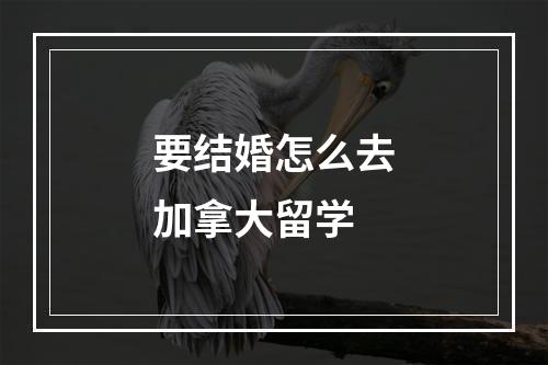 要结婚怎么去加拿大留学