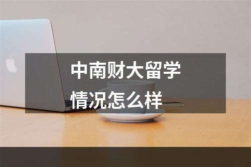 中南财大留学情况怎么样