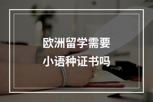 欧洲留学需要小语种证书吗