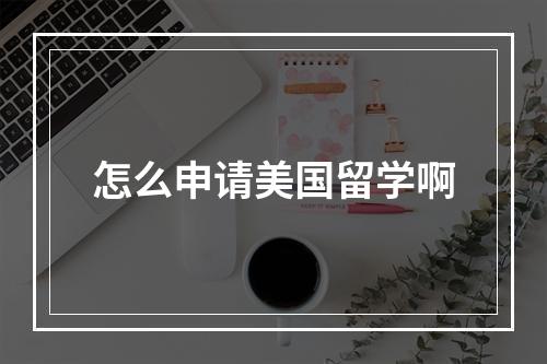 怎么申请美国留学啊