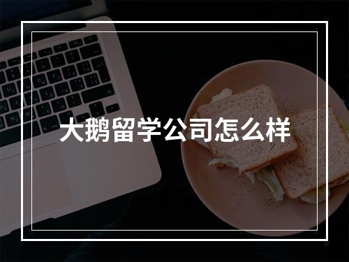 大鹅留学公司怎么样