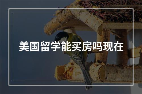 美国留学能买房吗现在