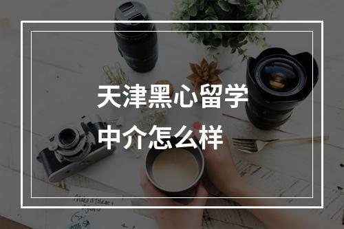 天津黑心留学中介怎么样