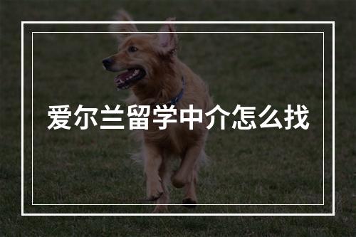 爱尔兰留学中介怎么找