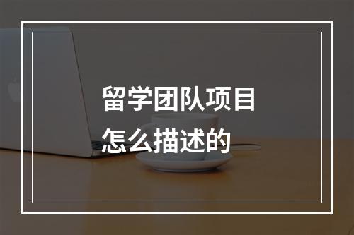 留学团队项目怎么描述的