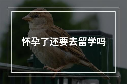 怀孕了还要去留学吗