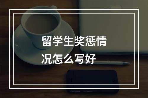 留学生奖惩情况怎么写好