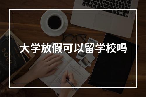 大学放假可以留学校吗