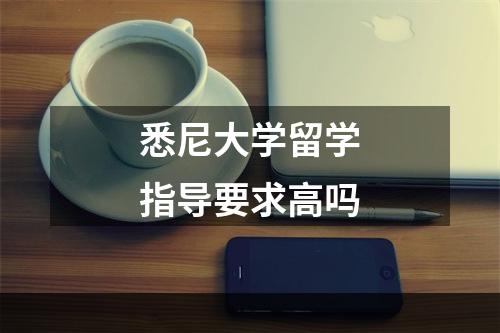 悉尼大学留学指导要求高吗