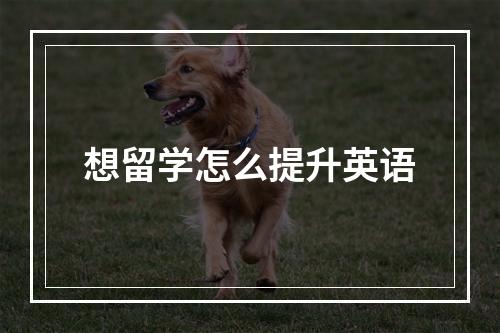 想留学怎么提升英语