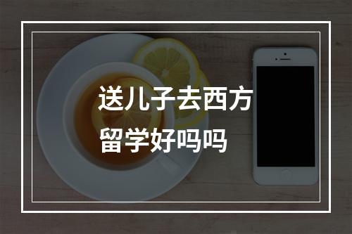 送儿子去西方留学好吗吗